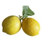 Dieną pradėkite su citrinų sultimis