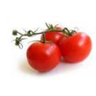 Pati plačiausia produktų, užkertančių kelią senėjimui, enciklopedija