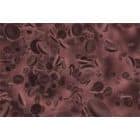 Išblyškęs veidelis