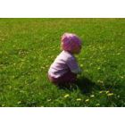 Pavasario sveikatos gidas