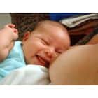 Kai išsenka pieno upės