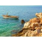 Jūrligės požymius dažniau jaučia jautresni