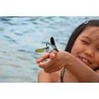 Kada ir kaip su vaikais kalbėti apie seksą