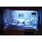 Nykštukų karalystė