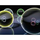 Vasaros užsiėmimai smalsiems (II dalis)