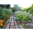 Sodo darbai rugpjūtį