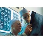 Nauji ligų aprašymai