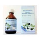 Rudos spalvos stiklinis butelis su užrašu „Šeivamedžio uogų tinktūra“ su baltu dangteliu yra šalia baltos ir mėlynos dėžutės, papuoštos šeivamedžio uogų ir lapų vaizdais. Tekstas ant dėžutės parašyta „Šeivamedžio uogų standartinis tirpalas vitaminas C“, reiškiantis gyvybingumo didinimą, panašų į Eleuterokoko ekstraktą.