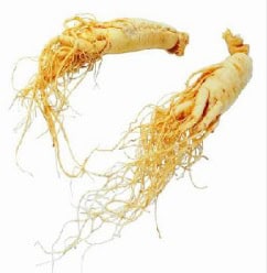 Pasisemkite stiprybės iš gamtos!