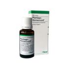 Mažas rudas buteliukas su užrašu „Plantago-Homaccord“, 30 ml lašai su baltu dangteliu stovi prieš baltą ir žalią dėžutę su atitinkamu prekės ženklu. Ant pakuotės matyti, kad tai vaistas arba sveikatos priežiūros produktas. - Pasveik.lt Mažas rudas buteliukas su užrašu „Plantago-Homaccord“, 30 ml lašai su baltu dangteliu stovi prieš baltą ir žalią dėžutę su atitinkamu prekės ženklu. Ant pakuotės matyti, kad tai vaistas arba sveikatos priežiūros produktas.