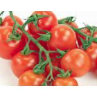 Kuo mūsų organizmui naudingi pomidorai?
