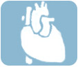 Širdies ir kraujagyslių sistemos ligos.