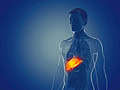 Skaitmeninė žmogaus virškinimo sistemos iliustracija, ryškiai oranžine spalva išryškinanti skrandžio sritį vyriškos figūros silueto fone mėlyname fone, subtiliai nurodanti galimas sąsajas su autoimuninėmis ligomis.