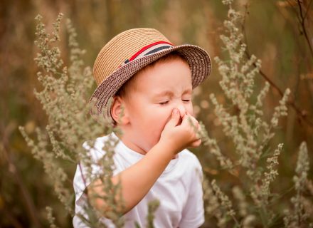 <strong>Vaikų alerginis rinitas ir su juo susijusios ligos</strong>